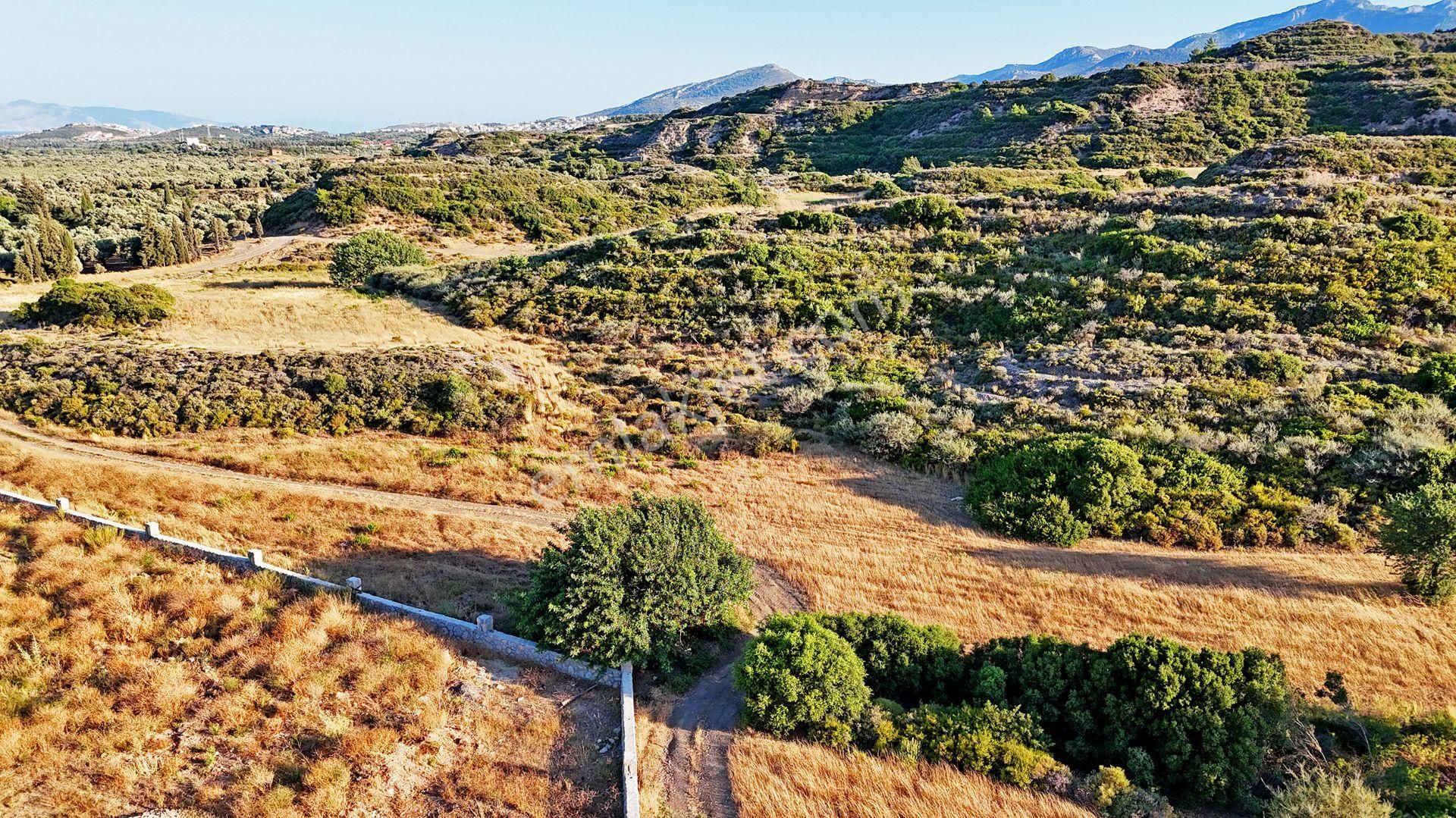 Remax Badem'den Datça Reşadiye'de Satılık 6031 M2 Tarla - Görsel 32
