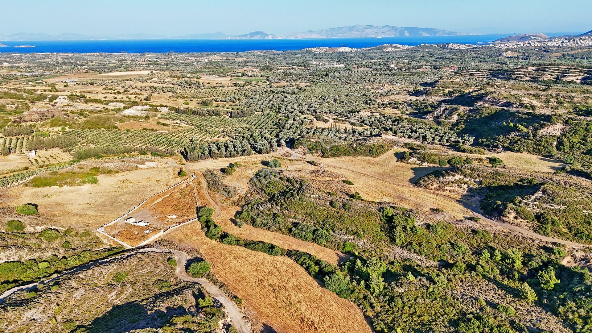 Remax Badem'den Datça Reşadiye'de Satılık 6031 M2 Tarla - Görsel 15