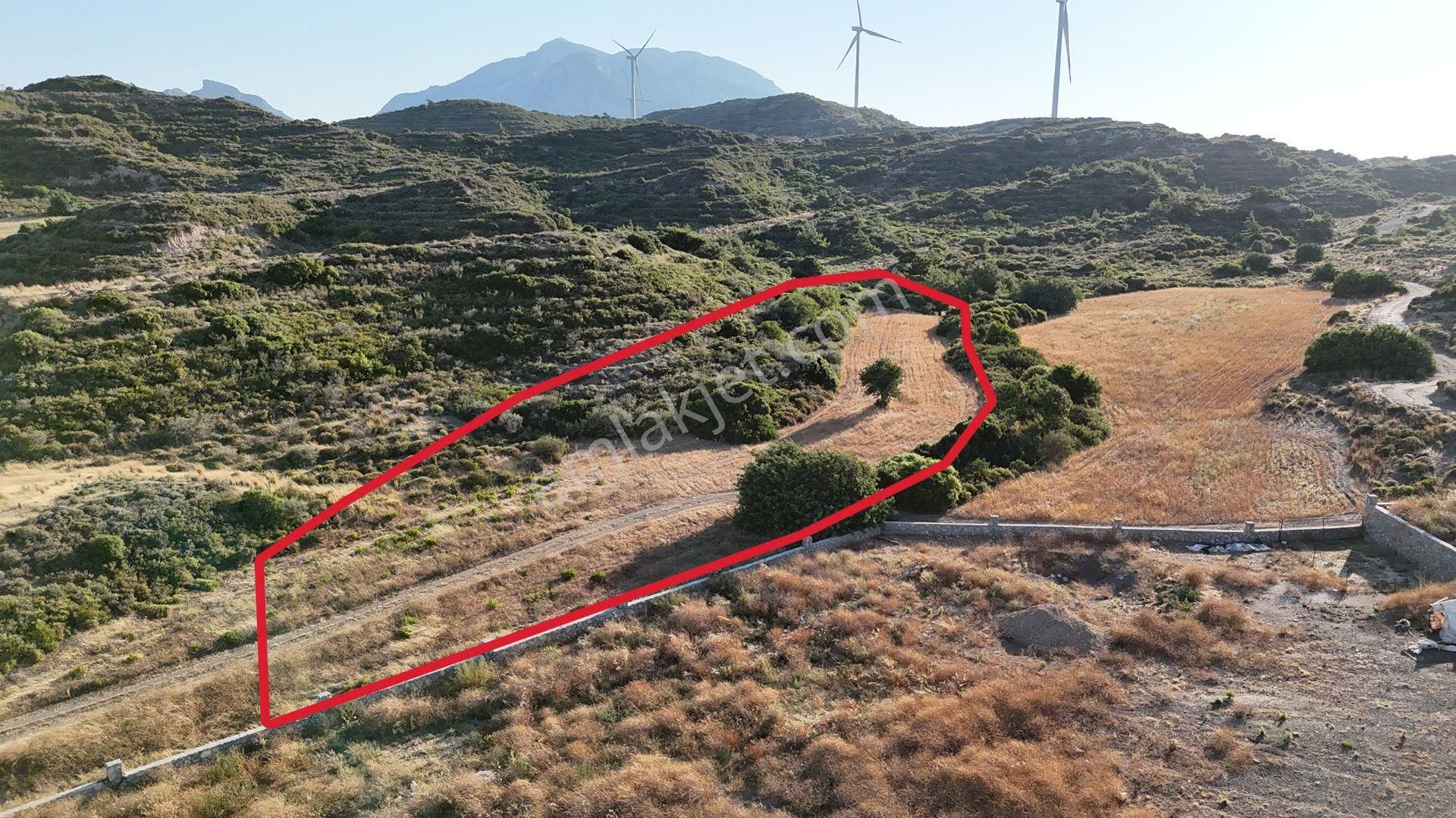 Remax Badem'den Datça Reşadiye'de Satılık 6031 M2 Tarla - Görsel 27