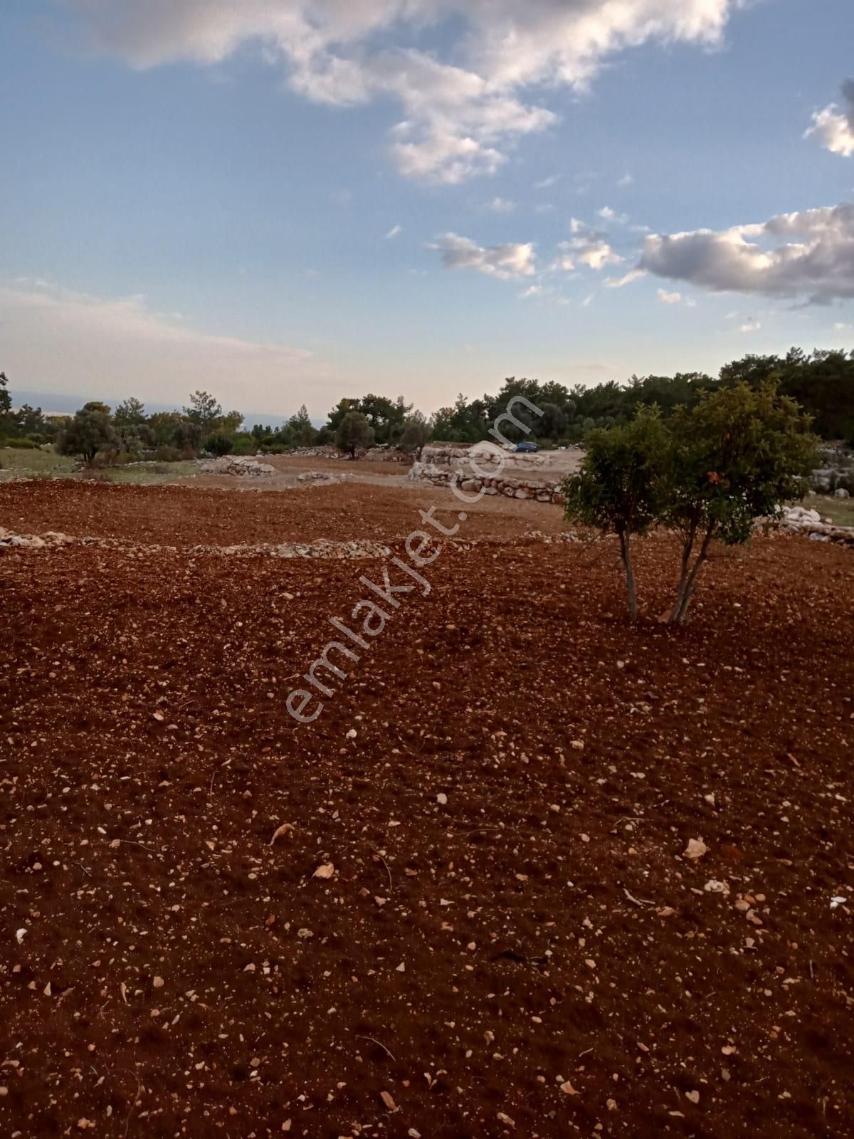 Arve'den Silifke İmamlı'da Muhteşem Konumda 7 Dönüm Tarla - Görsel 3
