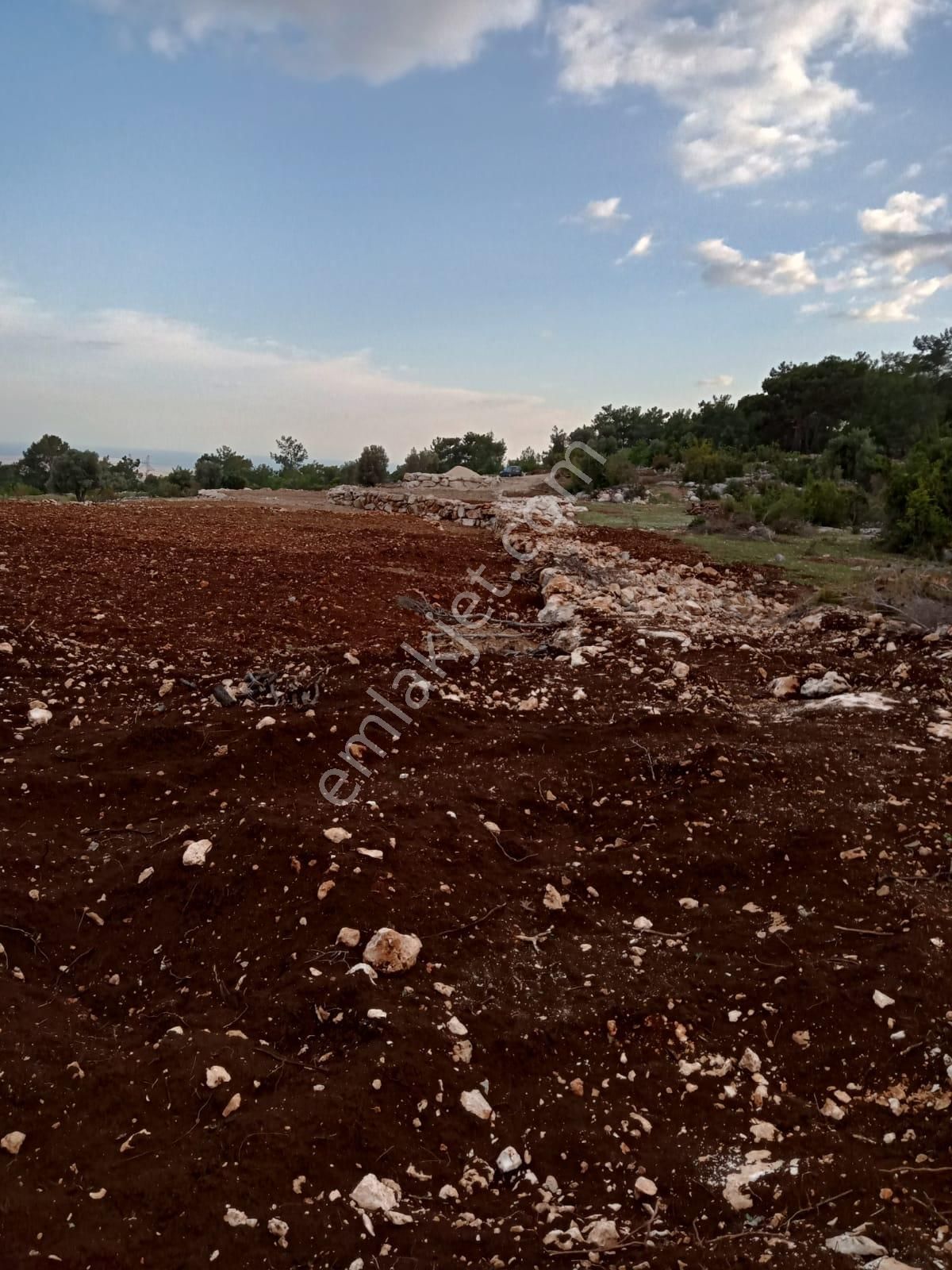 Arve'den Silifke İmamlı'da Muhteşem Konumda 7 Dönüm Tarla - Görsel 6