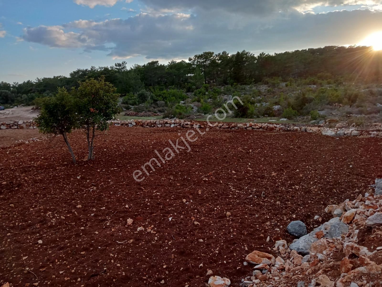 Arve'den Silifke İmamlı'da Muhteşem Konumda 7 Dönüm Tarla - Görsel 2