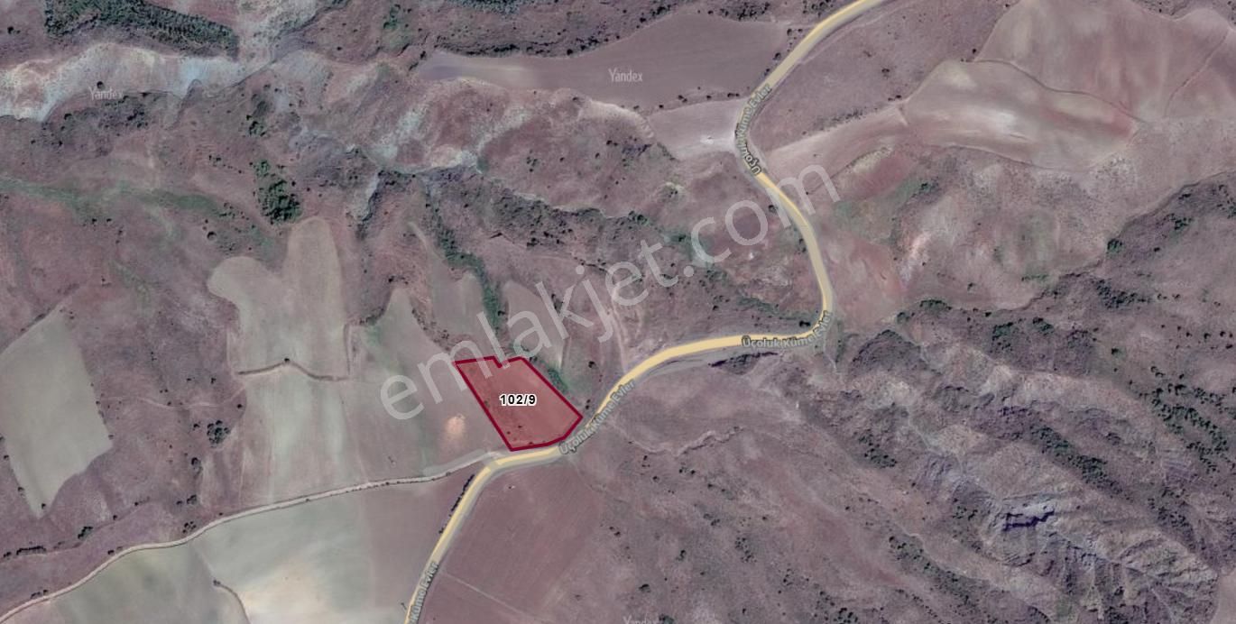 Çorum Sungurlu Üçoluk Köyünde 3.996 M² Tarlamız Satılıktır.