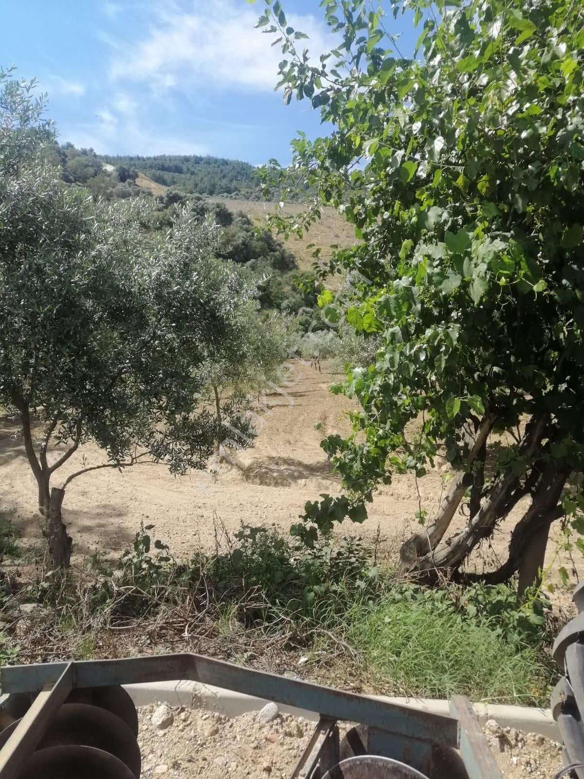 Pirlibey Mahallesinde Satılık Hobi Bahçesi - Görsel 4