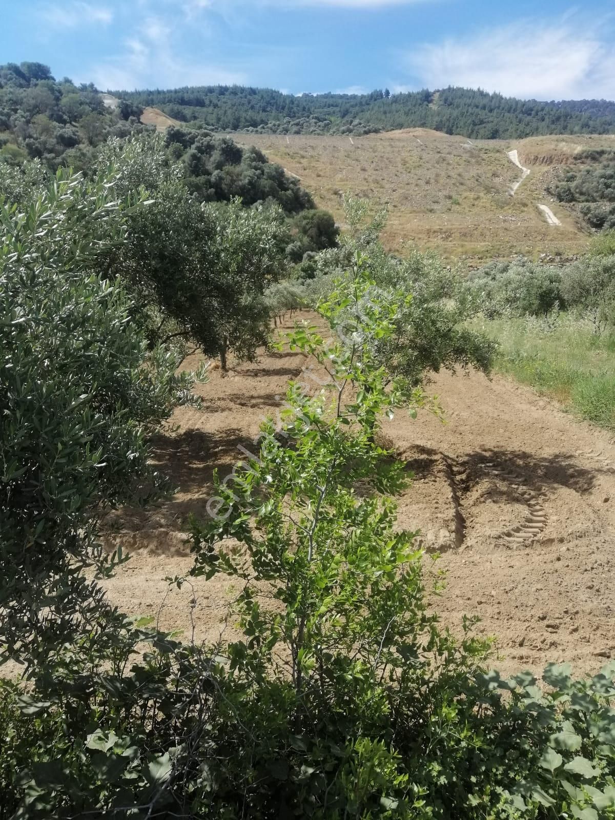 Pirlibey Mahallesinde Satılık Hobi Bahçesi - Görsel 2