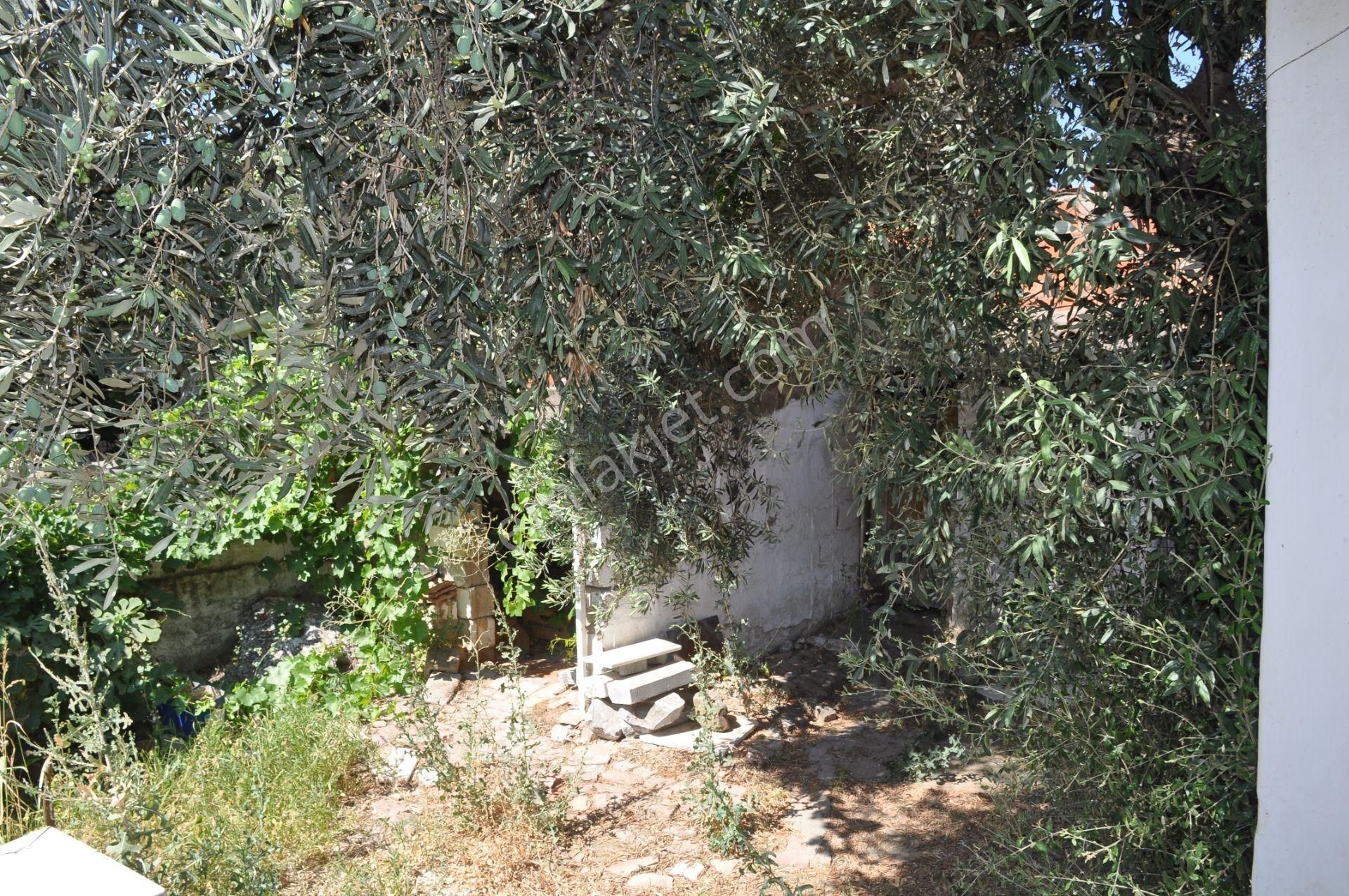 Germencik Moralı'da Satılık Müstakil Bahçeli Ev - Görsel 16