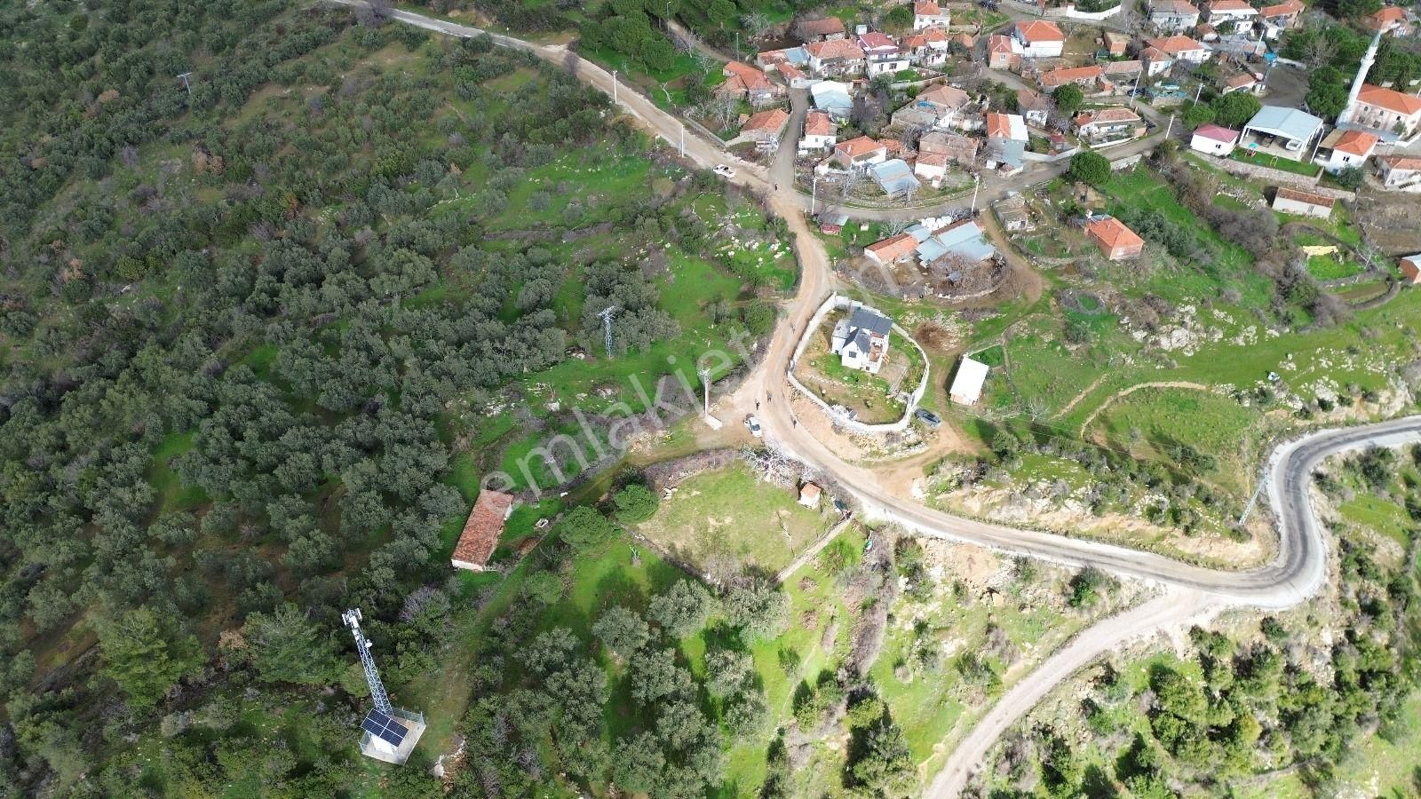 İzmir Dikili Samanlıkköy 9.697 M2 Köy Civarı Satılık Zeytinlik