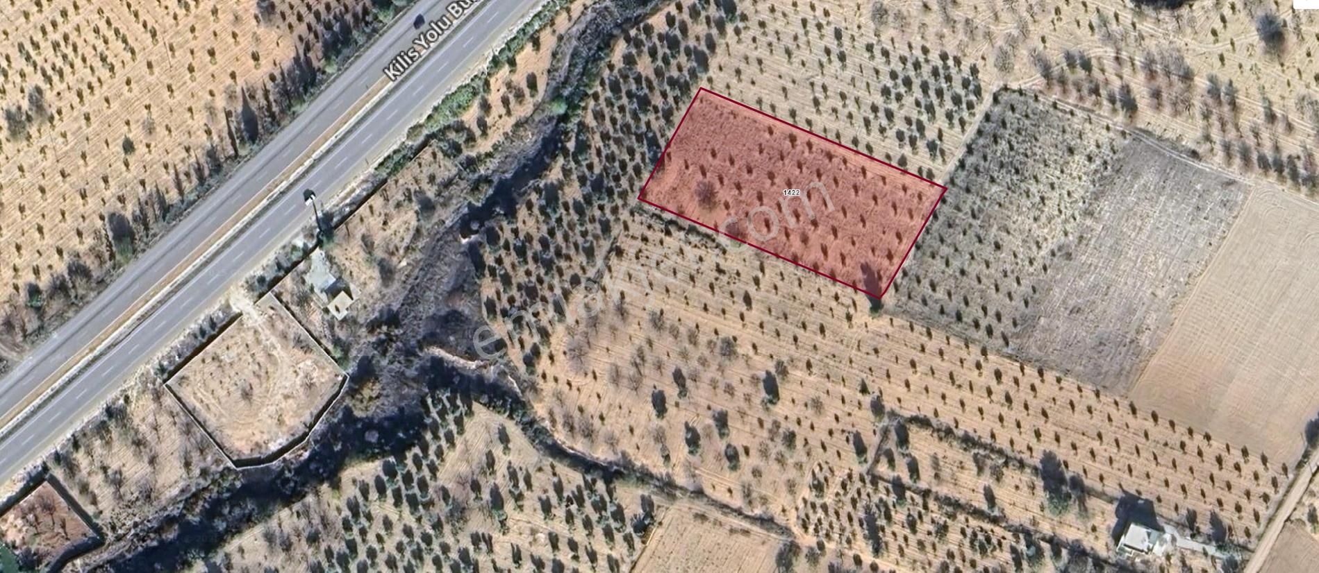 Hanedan Gyo Dan Satılık Bag Evlik 3950m2 Zeytinlik