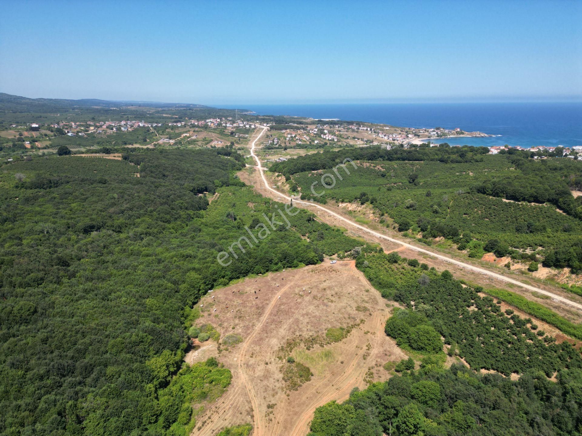 Ormanla Çevrili Plaja Yürüme Mesafesinde 2118 M2 Satılık Hisse - Görsel 26