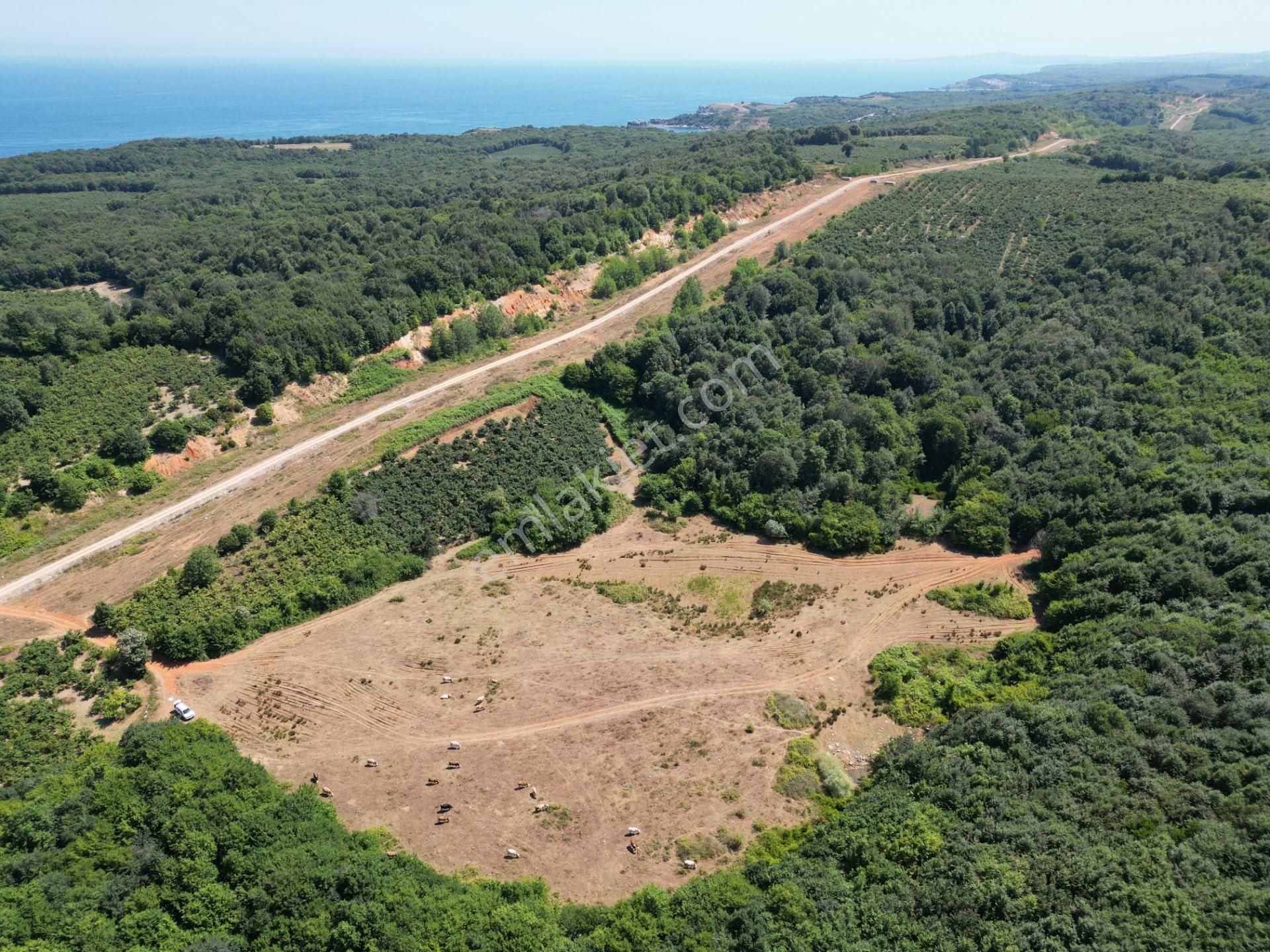 Ormanla Çevrili Plaja Yürüme Mesafesinde 2118 M2 Satılık Hisse - Görsel 13