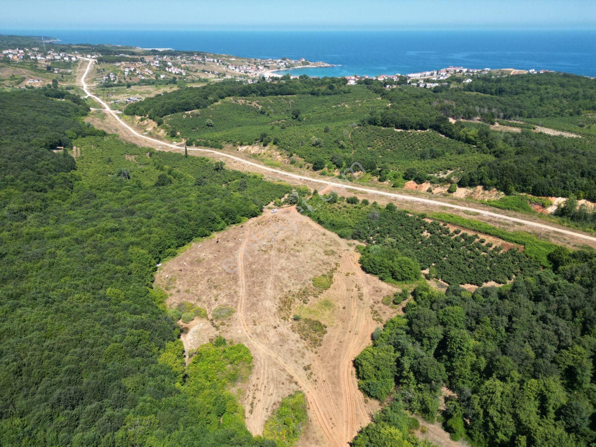 Ormanla Çevrili Plaja Yürüme Mesafesinde 2118 M2 Satılık Hisse - Görsel 10