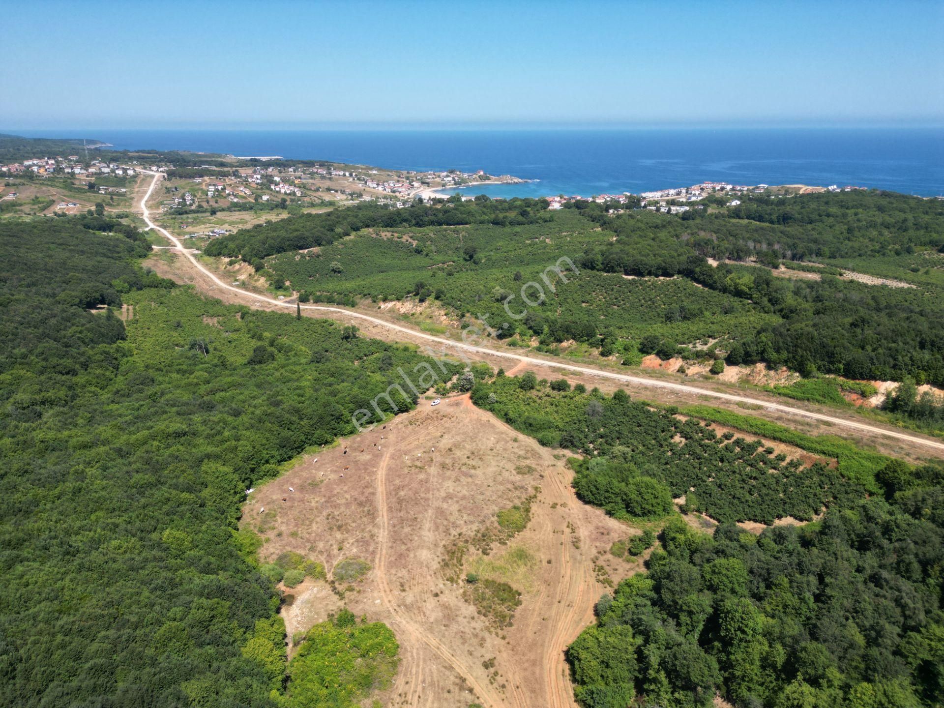 Ormanla Çevrili Plaja Yürüme Mesafesinde 2118 M2 Satılık Hisse - Görsel 9