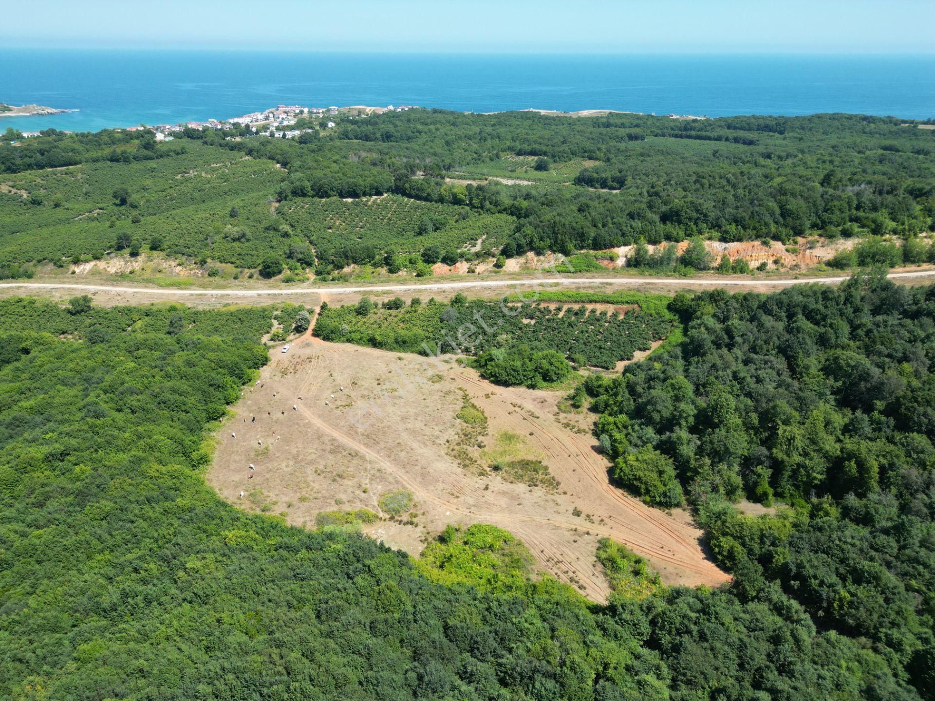 Ormanla Çevrili Plaja Yürüme Mesafesinde 2118 M2 Satılık Hisse - Görsel 11