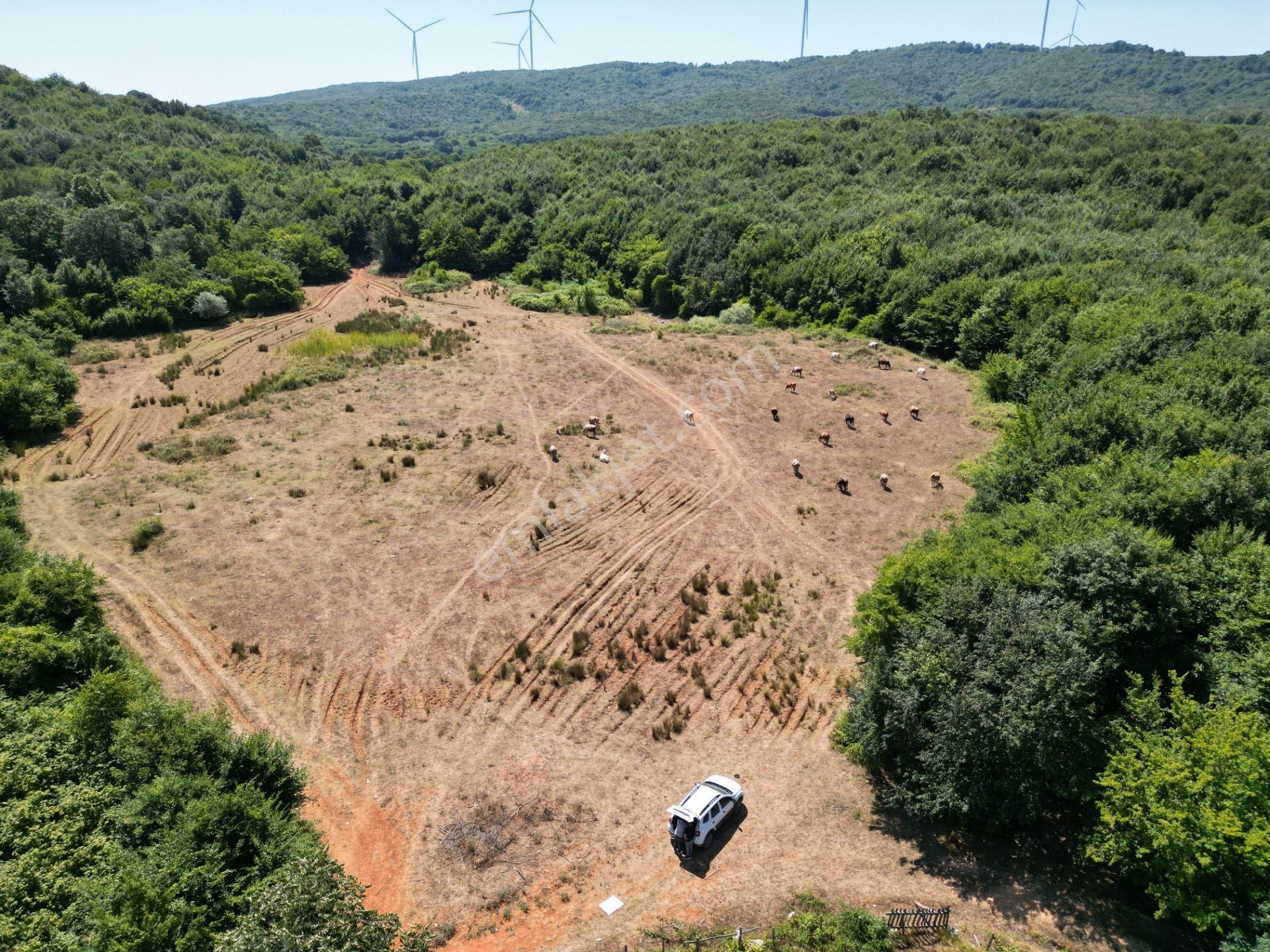 Ormanla Çevrili Plaja Yürüme Mesafesinde 2118 M2 Satılık Hisse - Görsel 17