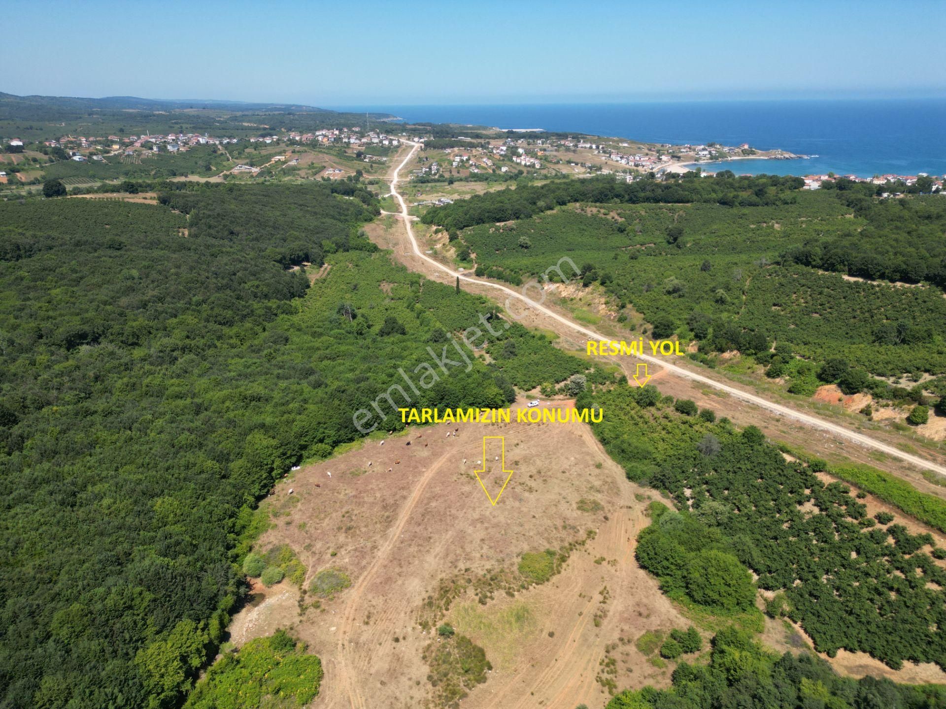Ormanla Çevrili Plaja Yürüme Mesafesinde 2118 M2 Satılık Hisse