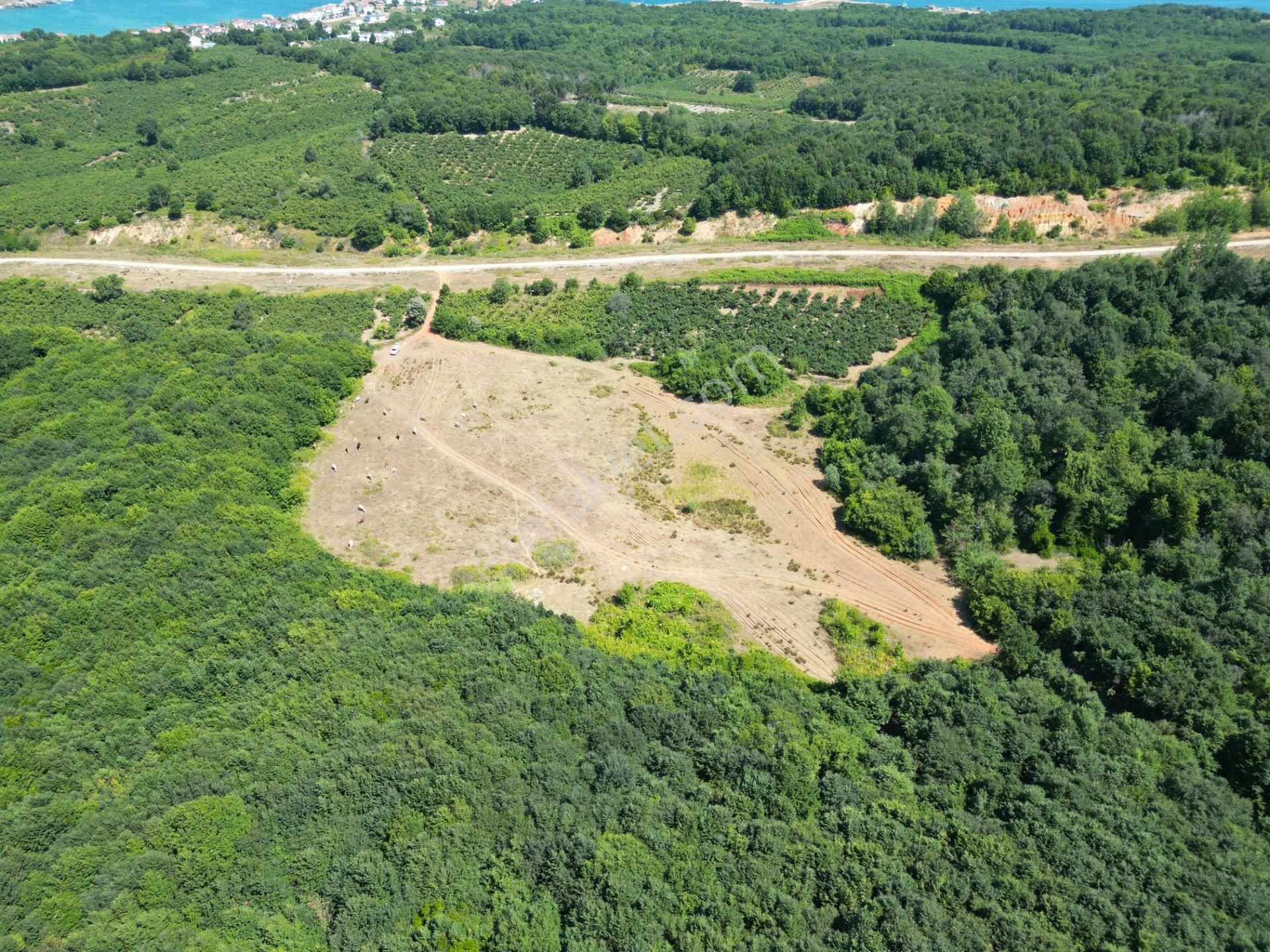 Ormanla Çevrili Plaja Yürüme Mesafesinde 2118 M2 Satılık Hisse - Görsel 12