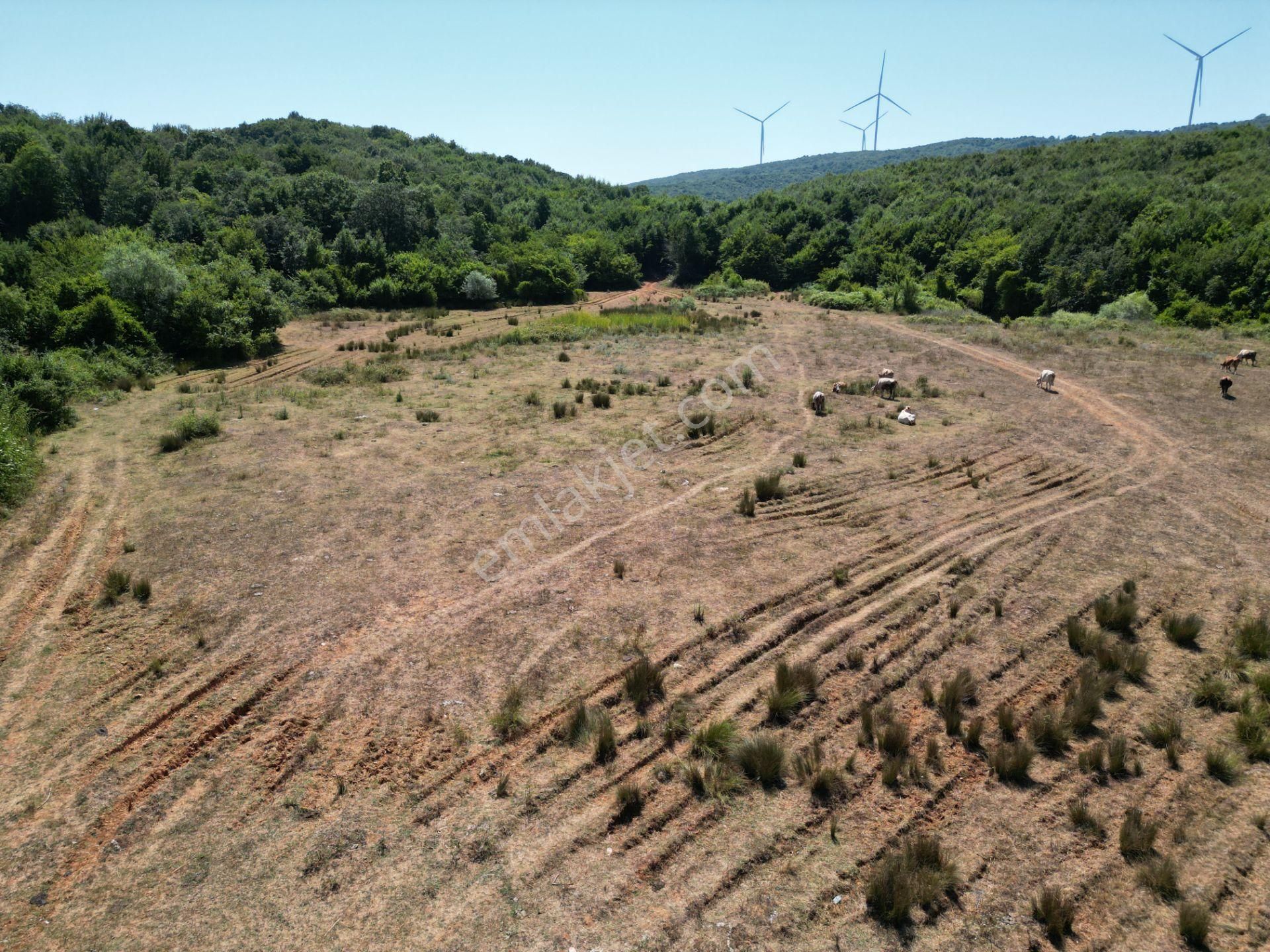 Ormanla Çevrili Plaja Yürüme Mesafesinde 2118 M2 Satılık Hisse - Görsel 18