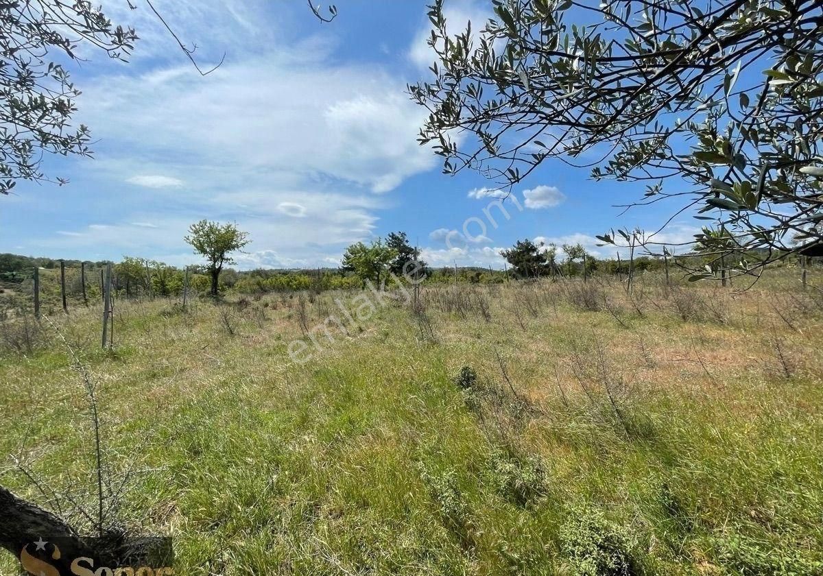 Oksijen Cenneti Kazdağları Eteklerinde Yerleşim Yeri Kenarında 1.600 M2 Tarla