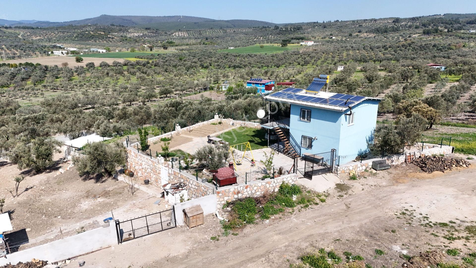 Aliağa Helvacı Satılık Arazi. - Görsel 9