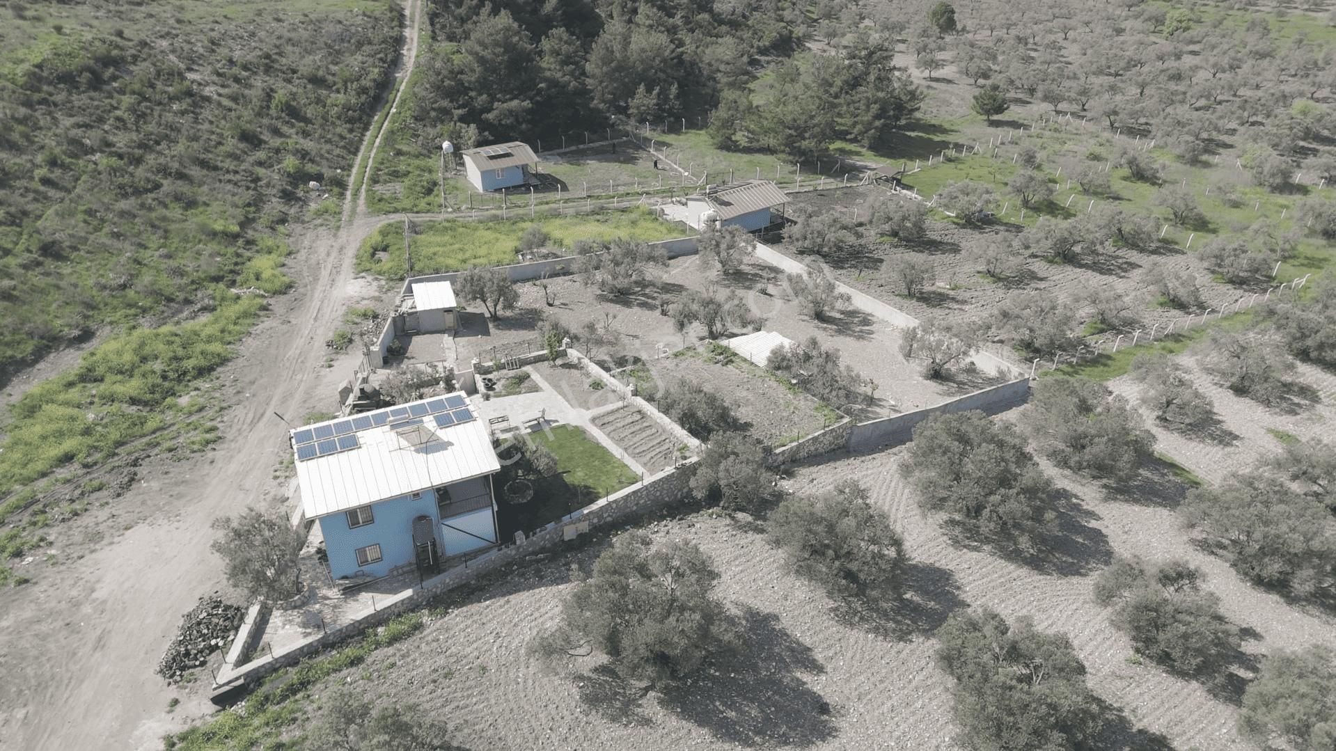 Aliağa Helvacı Satılık Arazi. - Görsel 6