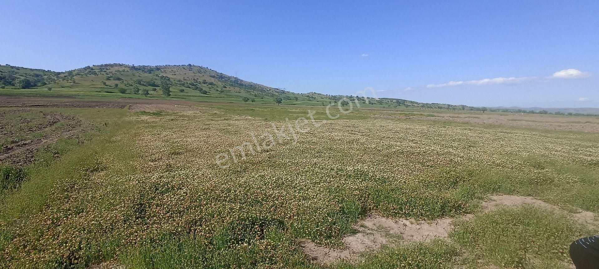 Balıkesir Ovacık Köyü Satılık Tarla