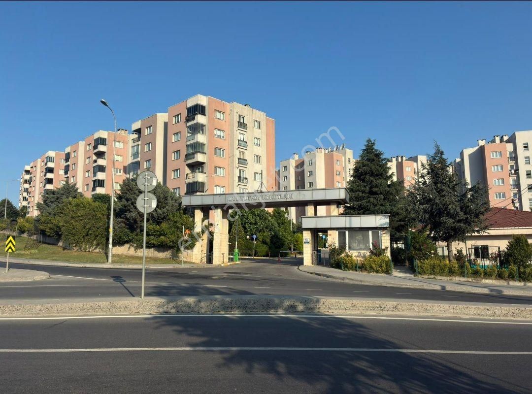 Sahibinden Satılık 3+1 Temiz Daire