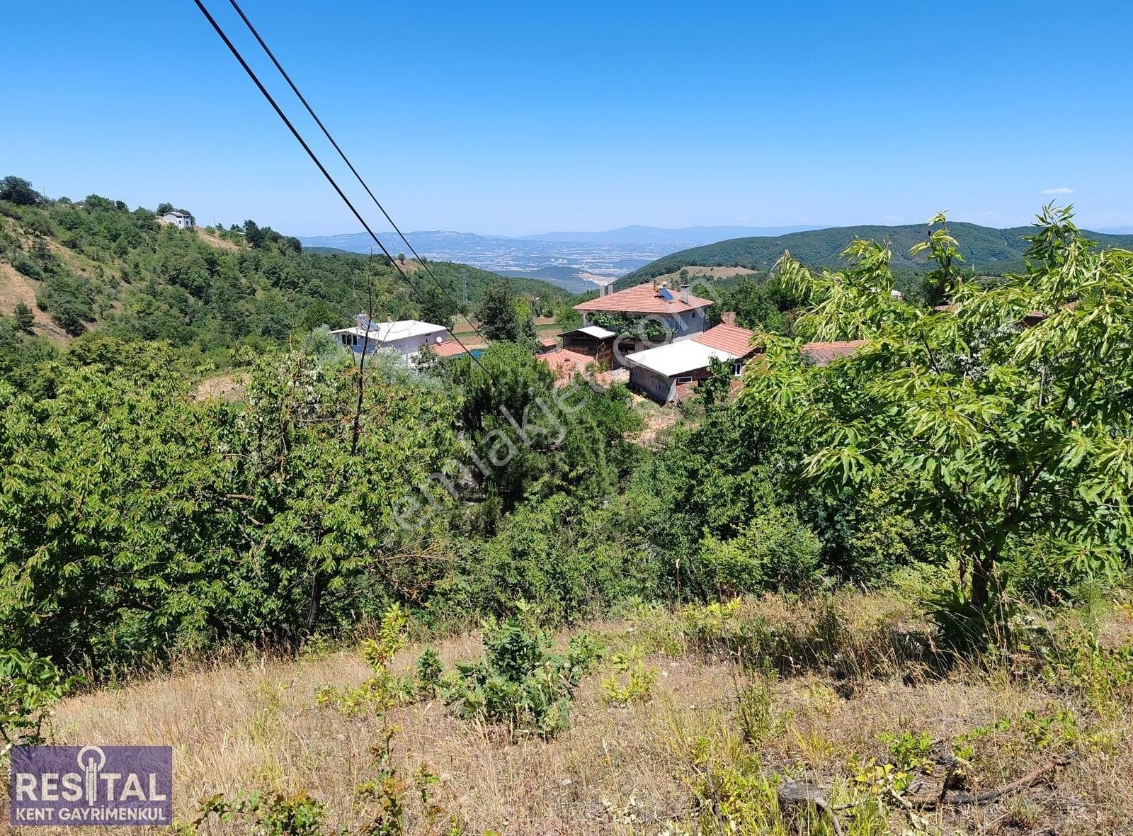 Nilüfer Kadriye 3696 M2 Elektrik Su Var Ana Yola Cephe - Görsel 4