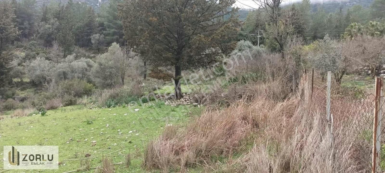 Müstakil Tapu 6840m Asfalt Yolcepheli Yabancı Satışa Uygun Tarla - Görsel 4