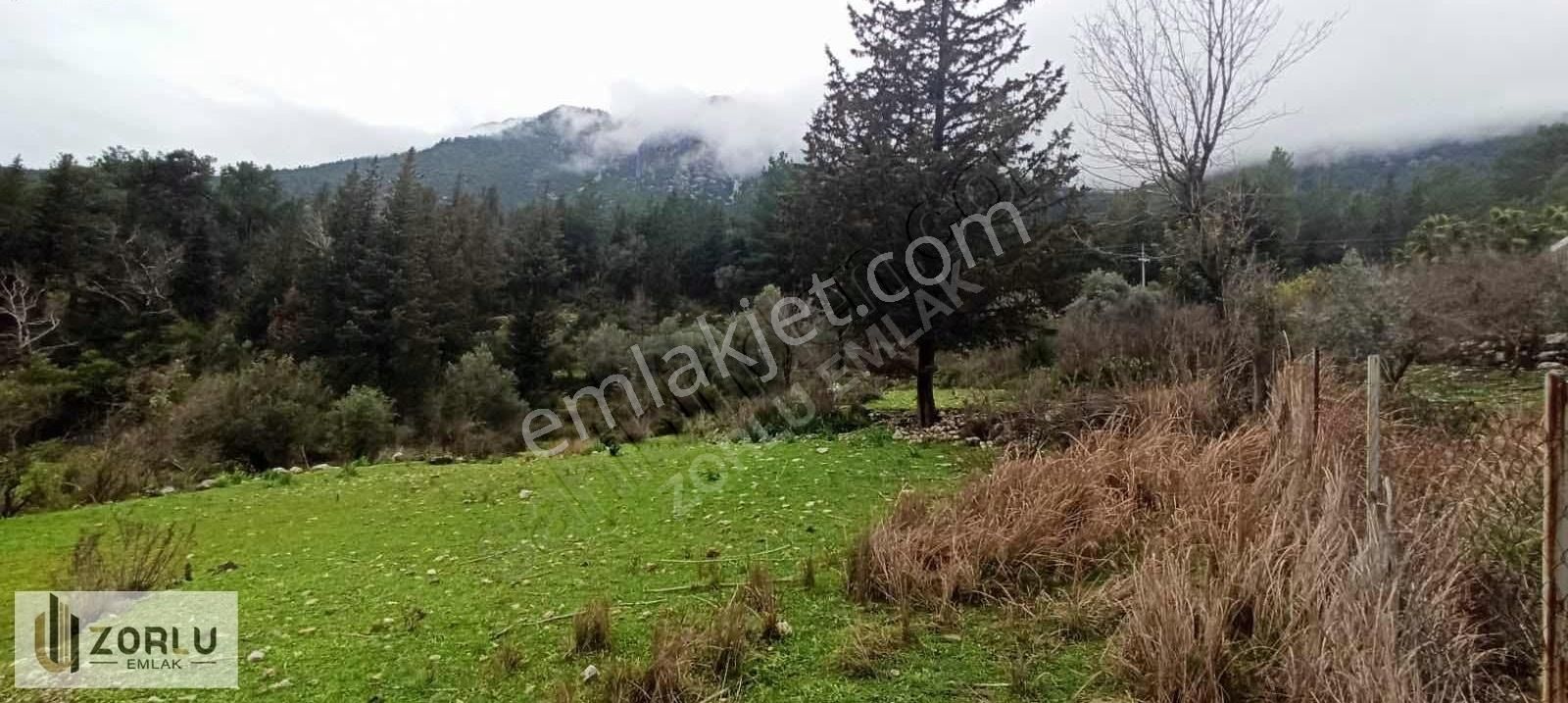 Müstakil Tapu 6840m Asfalt Yolcepheli Yabancı Satışa Uygun Tarla