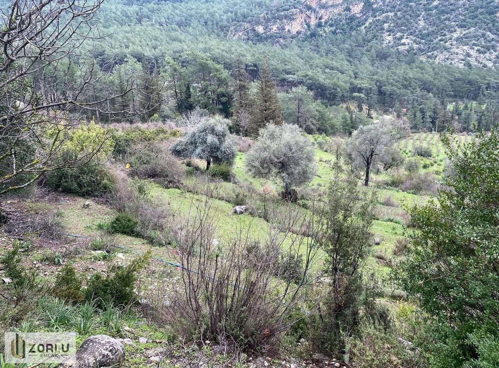 Müstakil Tapu 6840m Asfalt Yolcepheli Yabancı Satışa Uygun Tarla - Görsel 12