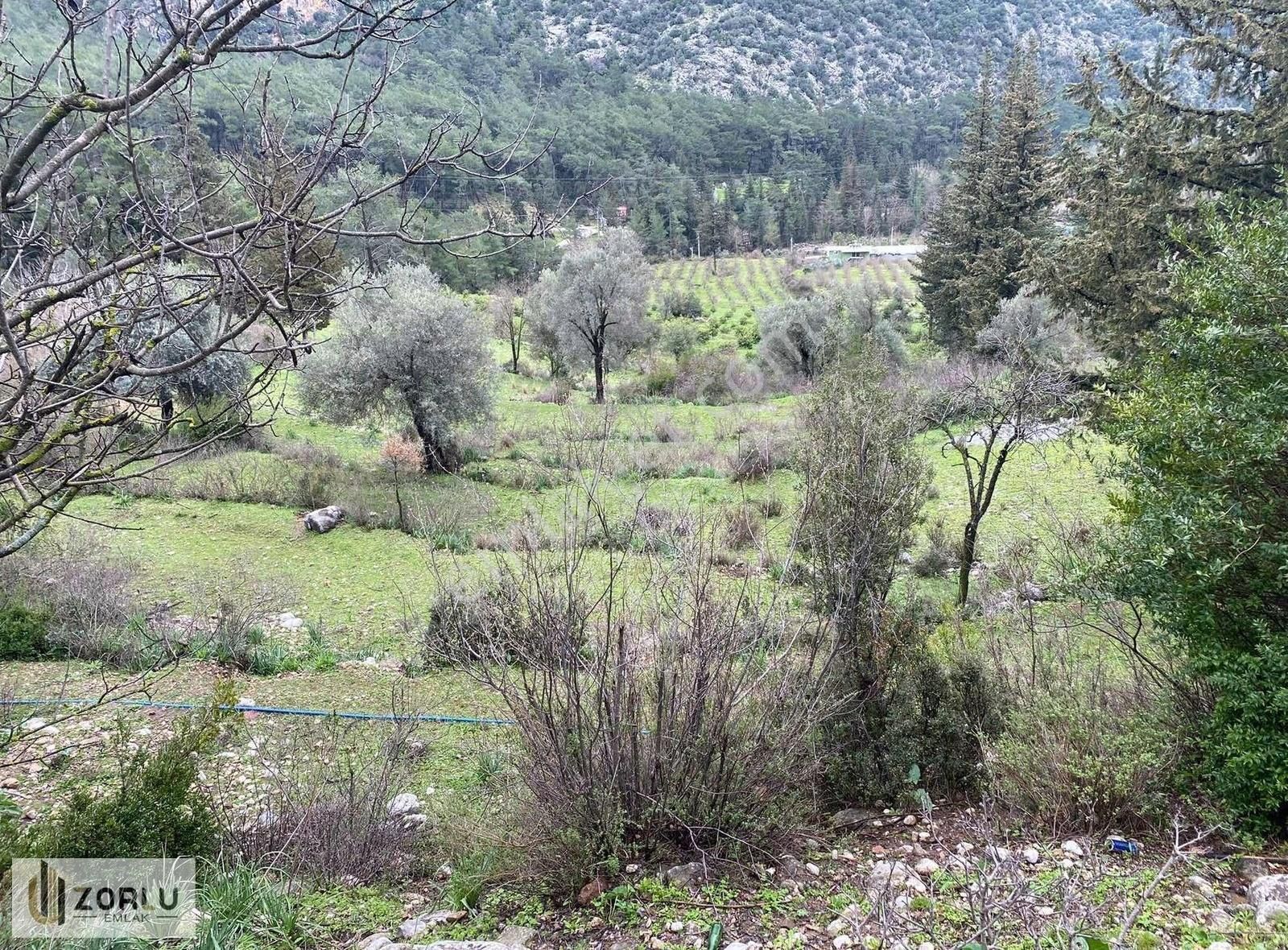 Müstakil Tapu 6840m Asfalt Yolcepheli Yabancı Satışa Uygun Tarla - Görsel 15