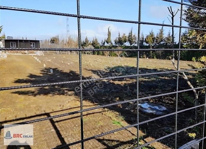 Çatalca Gökçeali De Muhteşem Konumda Meyve Bahçeli Müstakil Tapu - Görsel 2