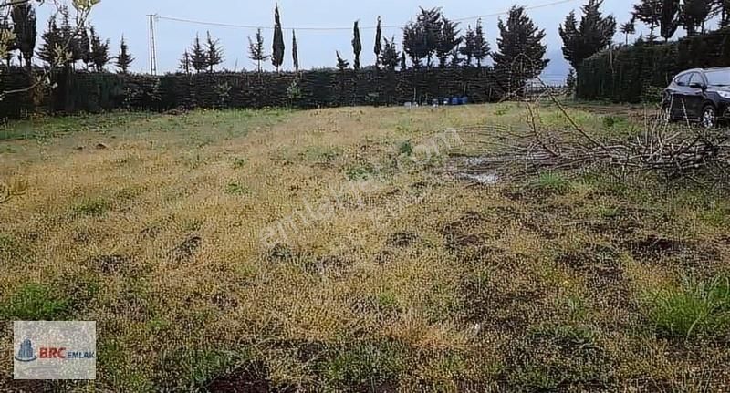 Çatalca Gökçeali De Muhteşem Konumda Meyve Bahçeli Müstakil Tapu - Görsel 14