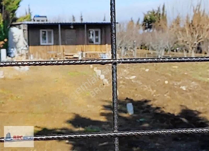 Çatalca Gökçeali De Muhteşem Konumda Meyve Bahçeli Müstakil Tapu - Görsel 15