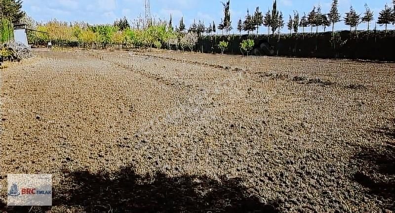 Çatalca Gökçeali De Muhteşem Konumda Meyve Bahçeli Müstakil Tapu - Görsel 10