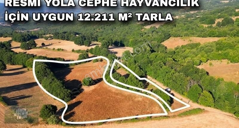 Resmi Yola Cephe Hayvancılık İçin Uygun 12.211 M² Tarla
