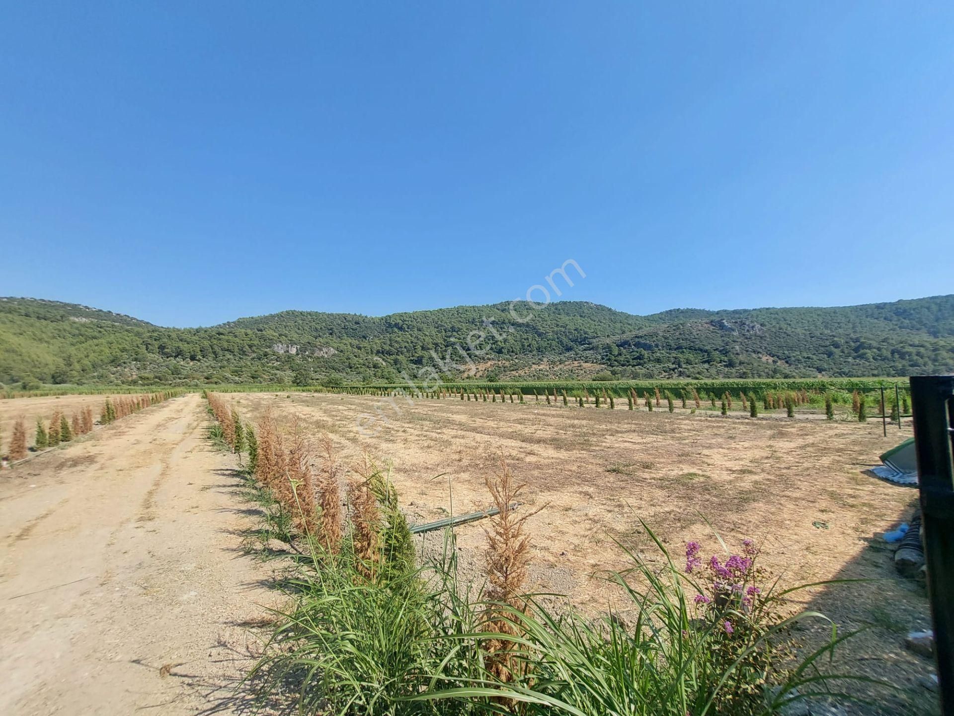 Ortaca Güzelyurt’ta Satılık Kooperatif Hisseleri – 270 M² - Görsel 6