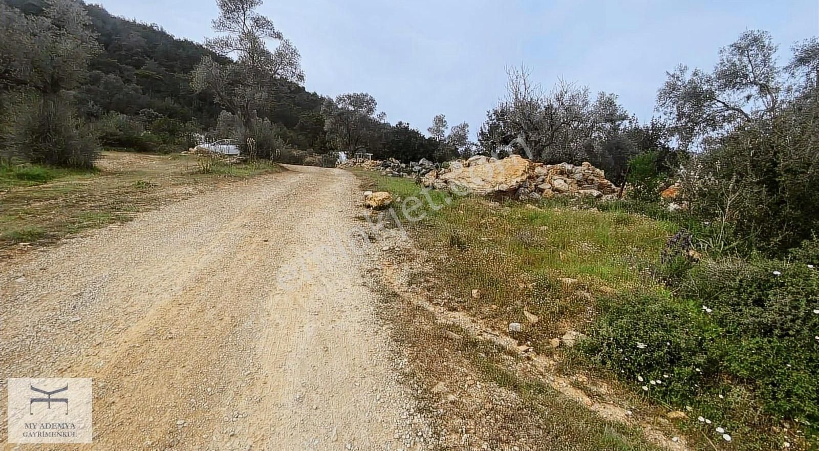 Bodrum Kızılağaç Merkezde Satılık Kupon Arazi