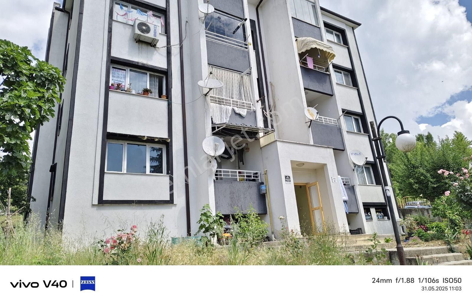 Sakarya Adapazari Camılıde - Görsel 7