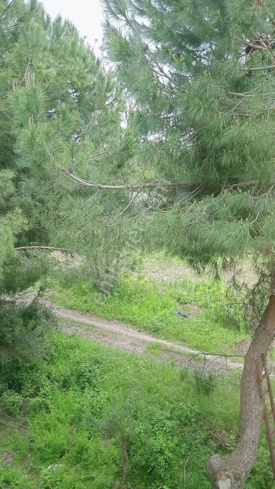 Balıkesir Manyas Satılık Daire - Görsel 7