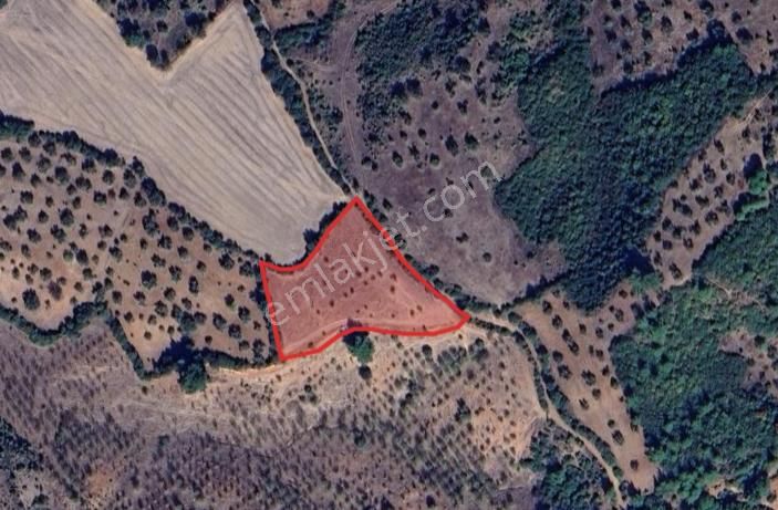 Çanakkale Bayramiç’te Yatırımlık Tarla! - Görsel 2