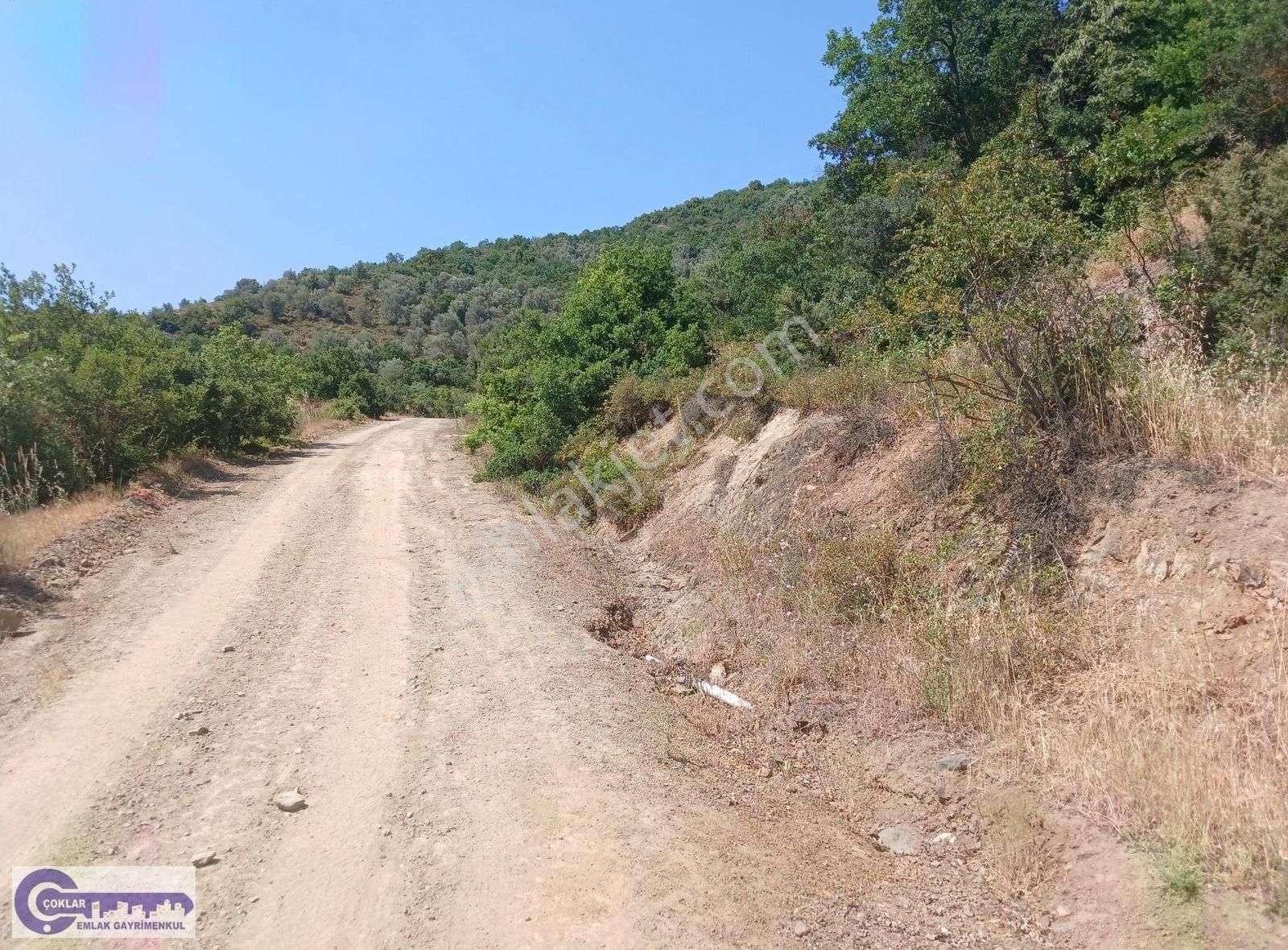 Çoklar'dan Çakırlı Köyünde Resmi Yola Cephe 2790 M2 Zeytinlik - Görsel 10