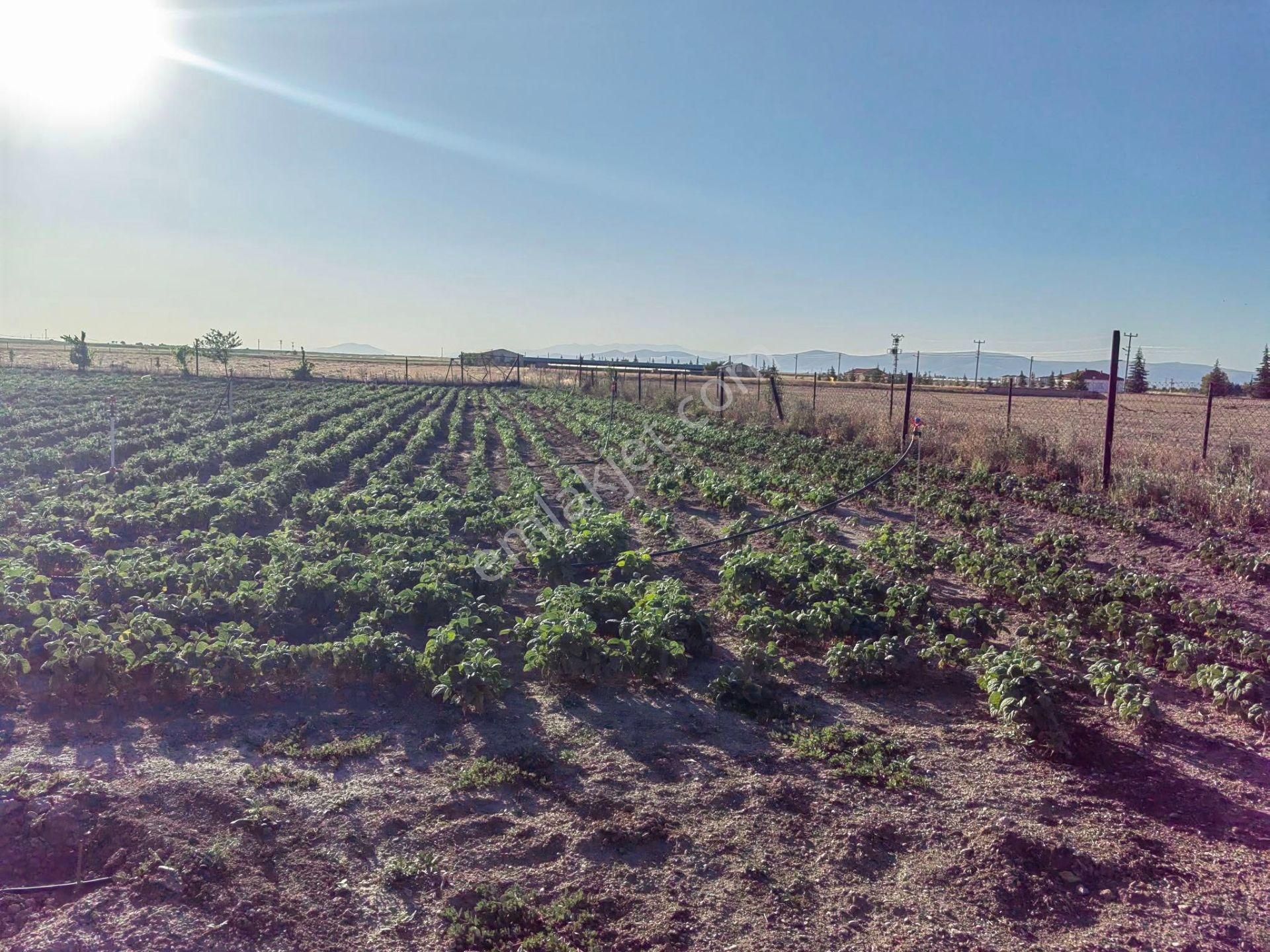Nasreddin Emlaktan Tuzlukçu Aşağı Mahallede Satılık Müstakil Ev - Görsel 10