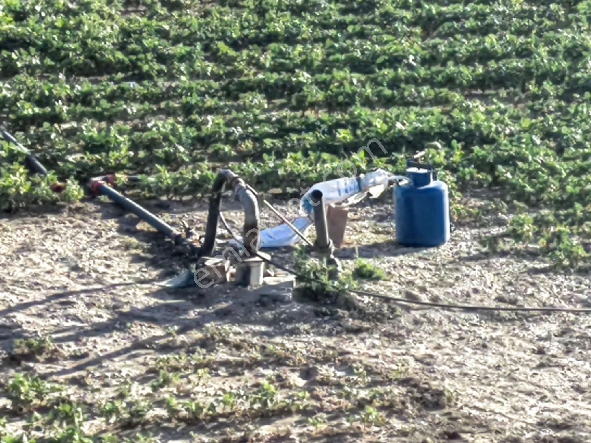 Nasreddin Emlaktan Tuzlukçu Aşağı Mahallede Satılık Müstakil Ev - Görsel 17