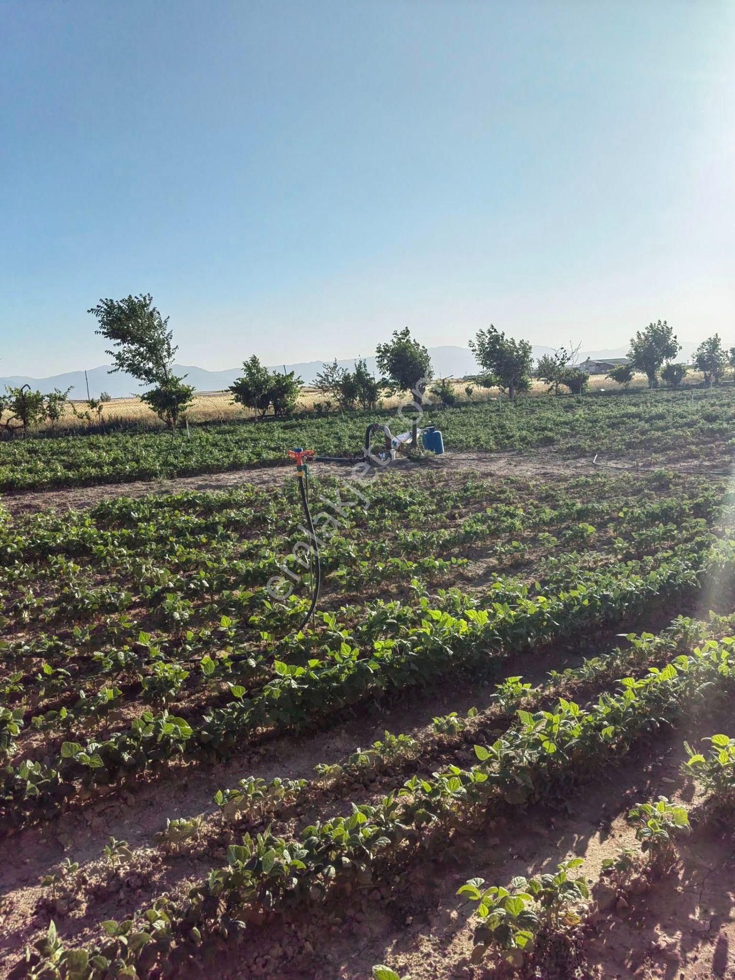 Nasreddin Emlaktan Tuzlukçu Aşağı Mahallede Satılık Müstakil Ev - Görsel 32