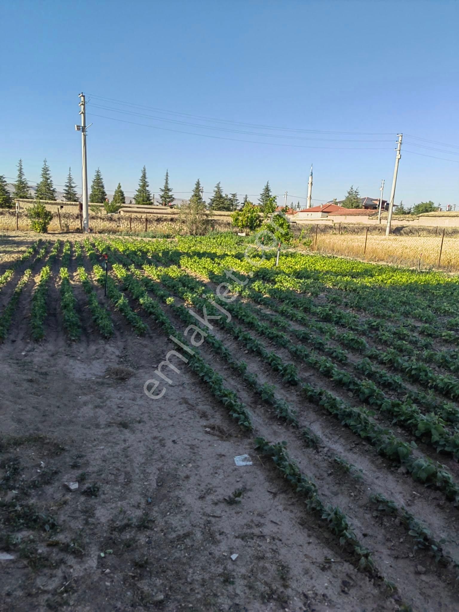 Nasreddin Emlaktan Tuzlukçu Aşağı Mahallede Satılık Müstakil Ev - Görsel 29