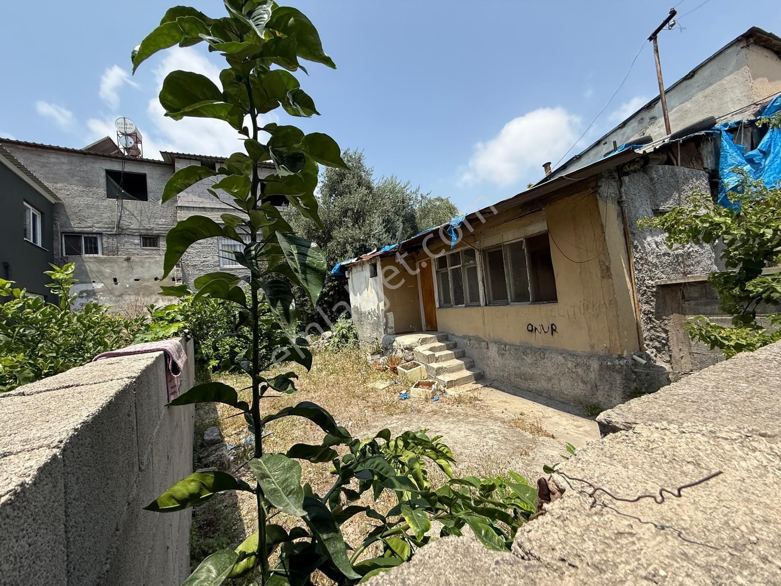 Livadan Tekke Mah Cadde Üzerinde Satılık Müstakil Ev