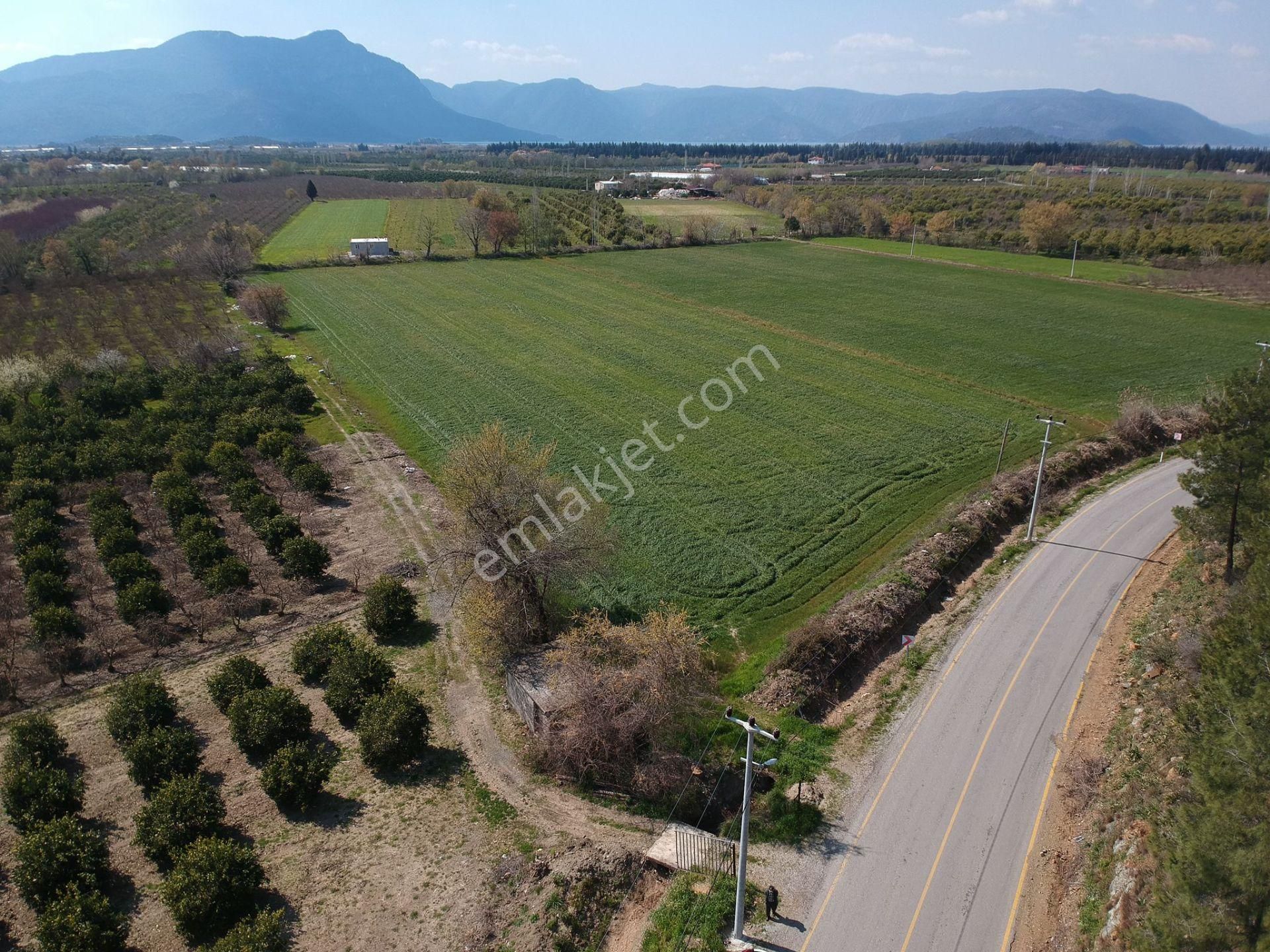 Ortaca Tepearasında 15220 M2 Tarla Satılık - Görsel 5