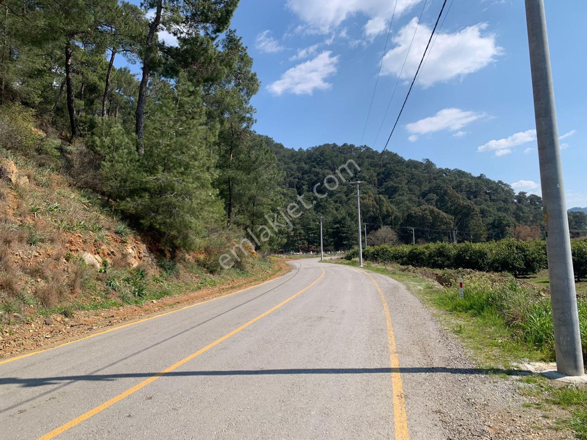 Ortaca Tepearasında 15220 M2 Tarla Satılık - Görsel 4