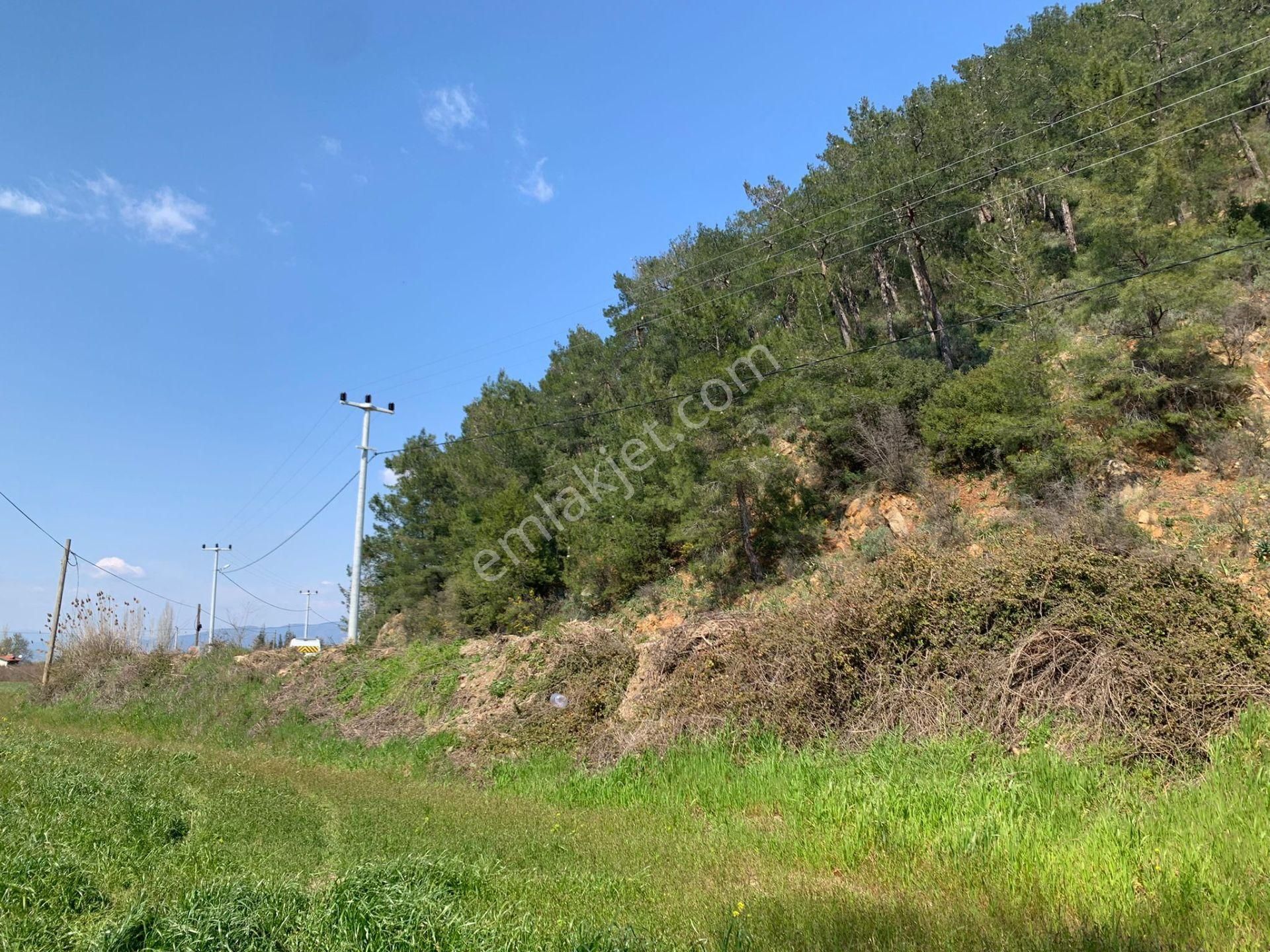 Ortaca Tepearasında 15220 M2 Tarla Satılık - Görsel 2
